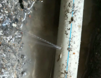 新乐测漏水哪家好