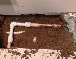 新乐测漏水哪家好