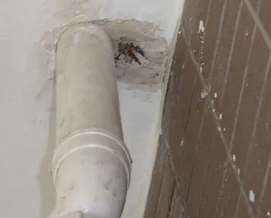 新乐漏水检测哪家好